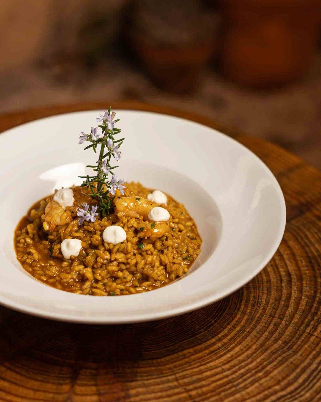 Plato de Can Mussonet para Restaurat